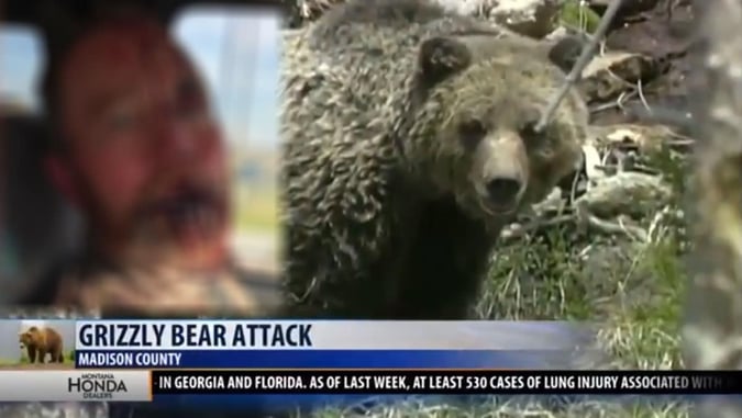 Hunter Survives Bear Attack; Shoots Grizzly In Self Defense
