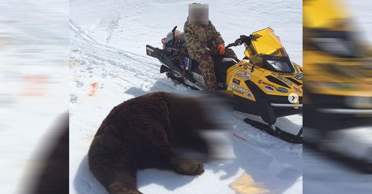 *WARNING: EXTREMELY GRAPHIC* Father Survives Horrific Bear Attack After Son Uses Gun To Stop It