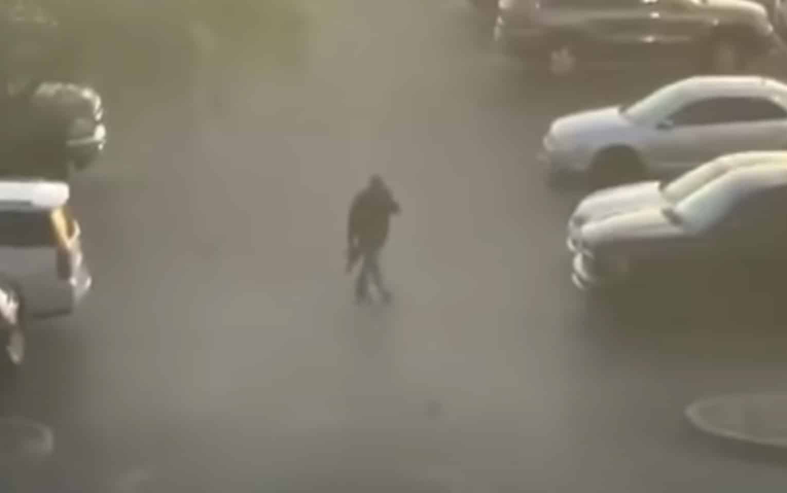 Suspect Roams AZ Shopping Mall, Opens Fire In Hopes Of Creating Next Mass Shooting