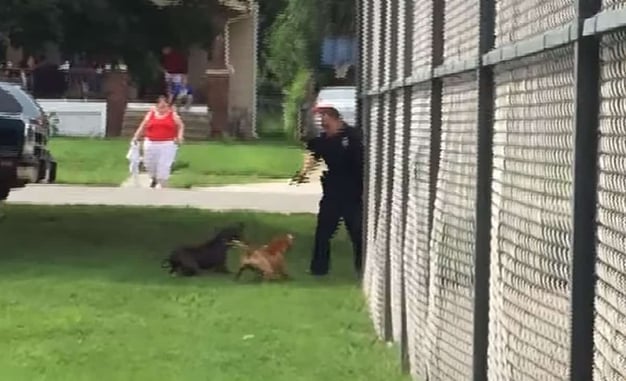 Was This Shooting Of An Aggressive Dog Justified? *WATCH*