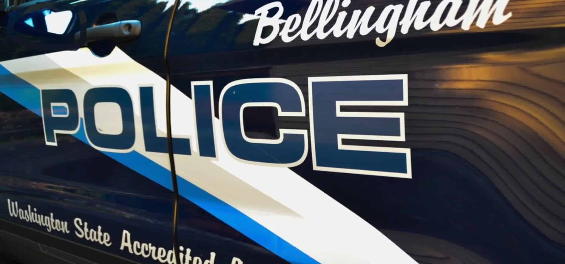 Armed Man Tries To Stop Car Thief, Fires Warning Shot, Almost Loses Gun