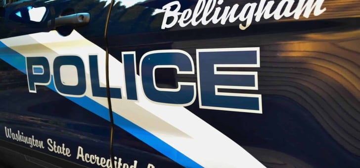 Armed Man Tries To Stop Car Thief, Fires Warning Shot, Almost Loses Gun