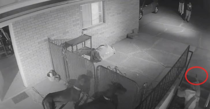 [VIDEO] 18-Year-Old With Knife And Gun Is Shot By Police After Pointing Pistol At Officer