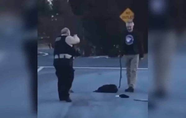 Erratic Driver Causes Two Crashes and Attacks Deputy Before Being Shot Dead