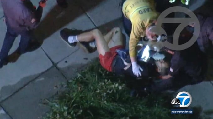 It Should Have Been A Defensive Gun Use: Lady Gaga’s Dog Walker Shot, Dogs Stolen, Offers $500k Reward