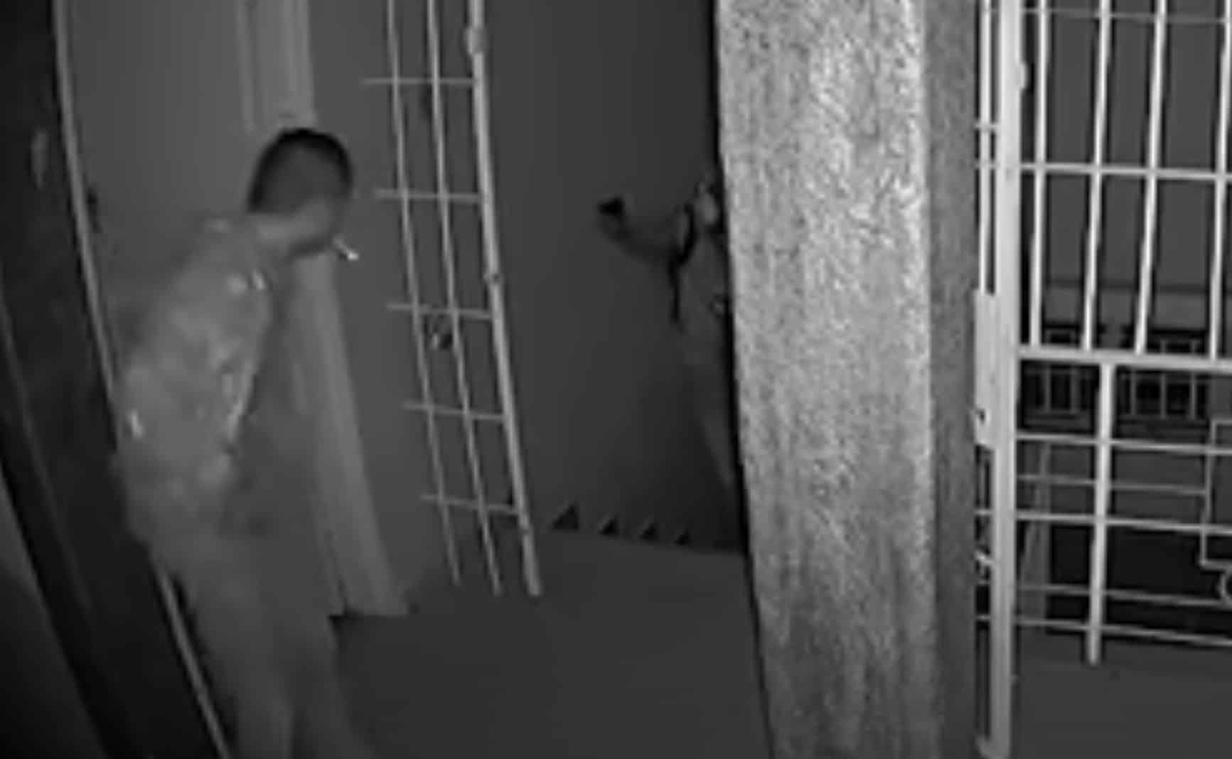 Man Gets Lucky While Defending Himself With Gun Against Multiple Invaders, With No Round In The Chamber