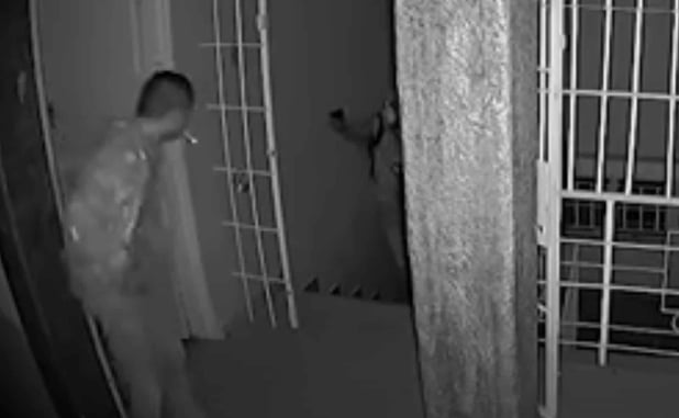 Man Gets Lucky While Defending Himself With Gun Against Multiple Invaders, With No Round In The Chamber