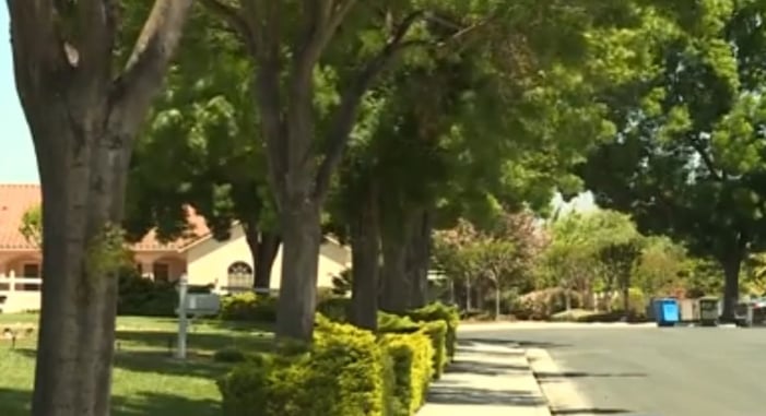 Suspected Burglar Shot By Mother Of Two After Being Found In Her Closet