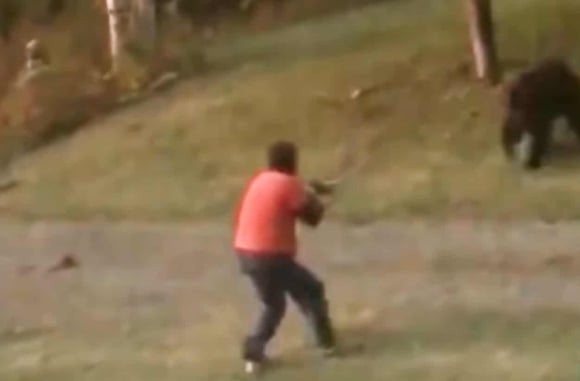 Shotgun Vs. Bear Doesn’t Go According To Plan