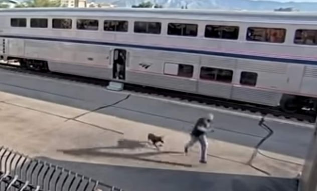 1 Officer Dead, 2 Others Injured During Shootout On Amtrak Train In Arizona