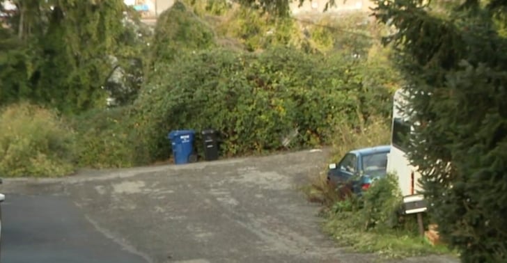 Homeowner Shoots One, Possibly Two, Of Three Suspects In His Yard