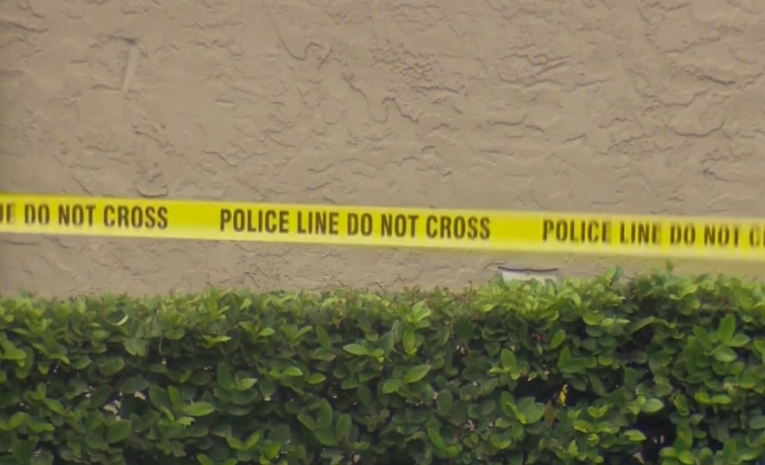 Mother Shot In Head While On Zoom Call After Toddler Finds Gun In Paw Patrol Backpack