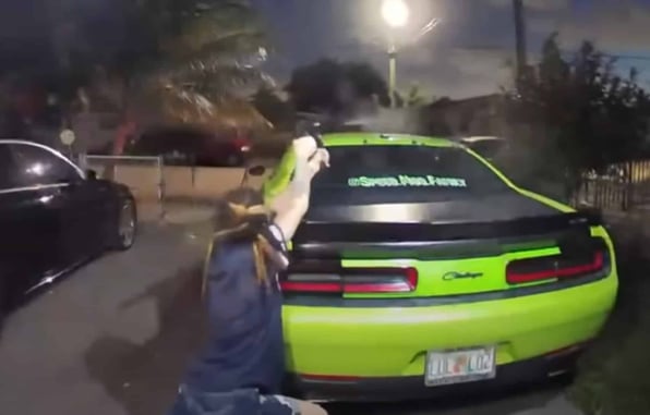 Woman Blindly Fires At Suspects Who Took Off With $4,000 Puppies – WATCH