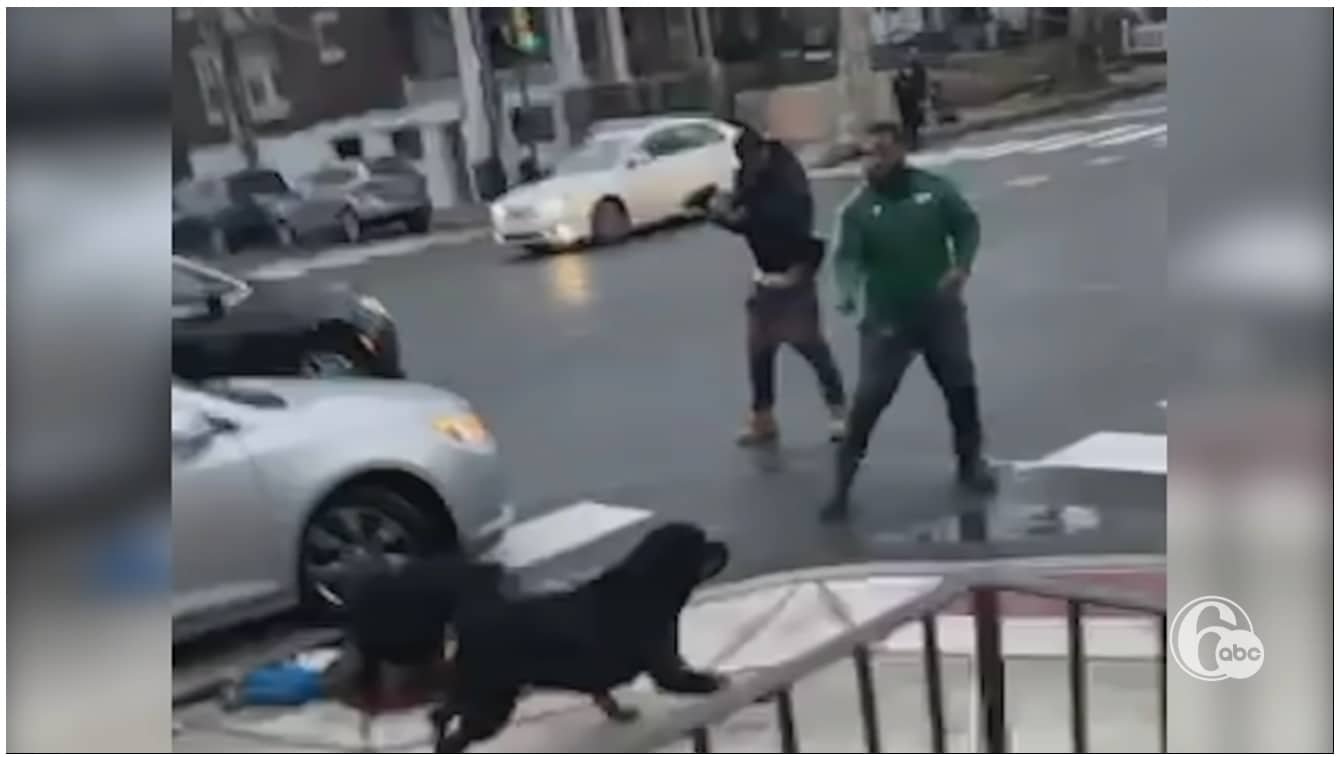 Concealed Carrier Shoots And Kills 1 Of 2 Dogs Attacking Child