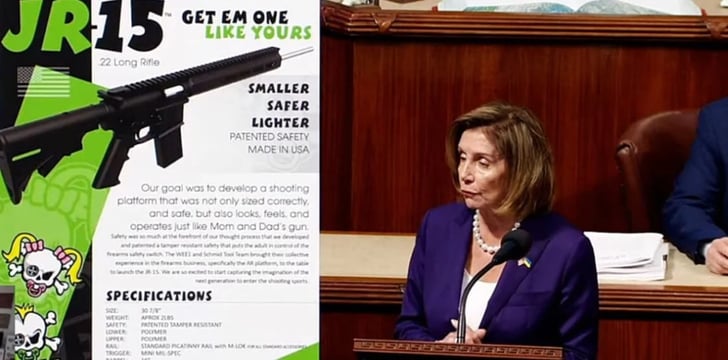 Assault Weapon Ban Bill 1808 Passes House, Moves On To Senate