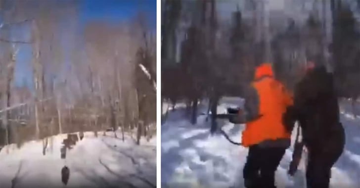 [VIDEO] Dozens Of Wild Boars Chase Hunters During Intense Encounter