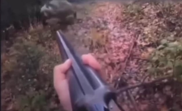 OMG. Would You Have This Much Patience Against A Charging Bear?