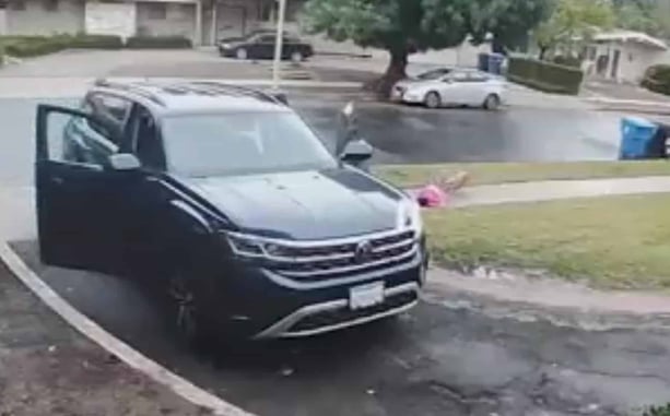Why We Carry: Child Grabbed By Coyote In The Middle Of The Day In A Driveway