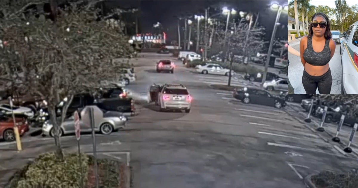 Why We Carry: Woman Arrested After Allegedly Beating Elderly Woman For No Reason Whatsoever