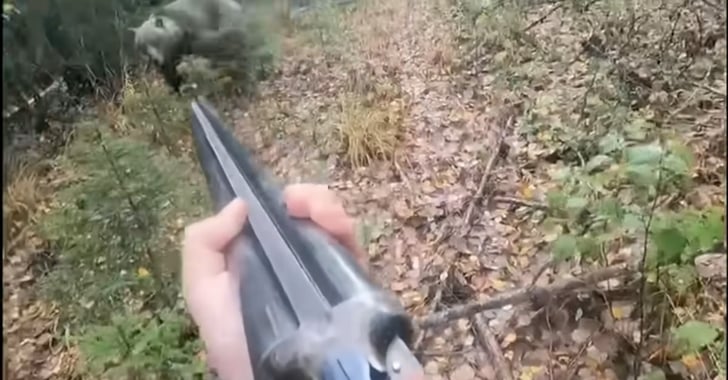 [WATCH] Bear Charges Man Multiple Times On Camera, He Refuses To Pull The Trigger