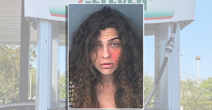 Concealed Carry Permit Holder Found Asleep With Gun In Her Lap and Meth In The Car