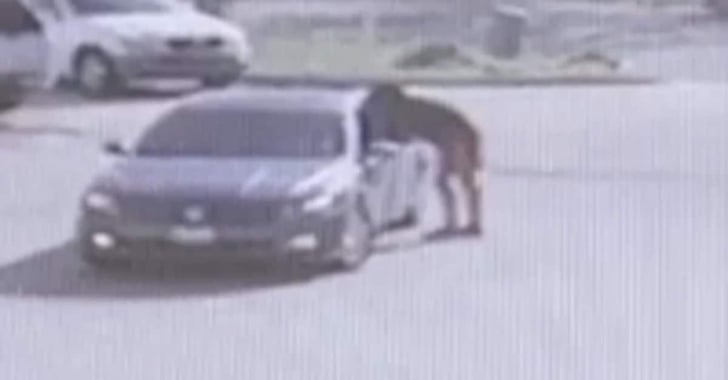 16-Year-Old Reportedly Killed While Trying To Buy A Gun