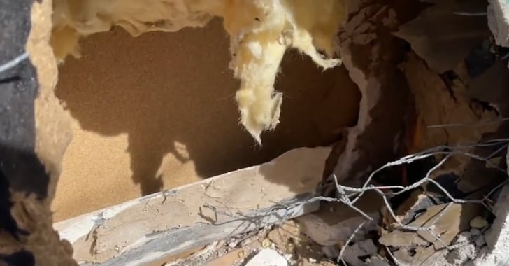 Burglar Allegedly Tunnels Into Smoke Shop, Gets Shot By Business Owner