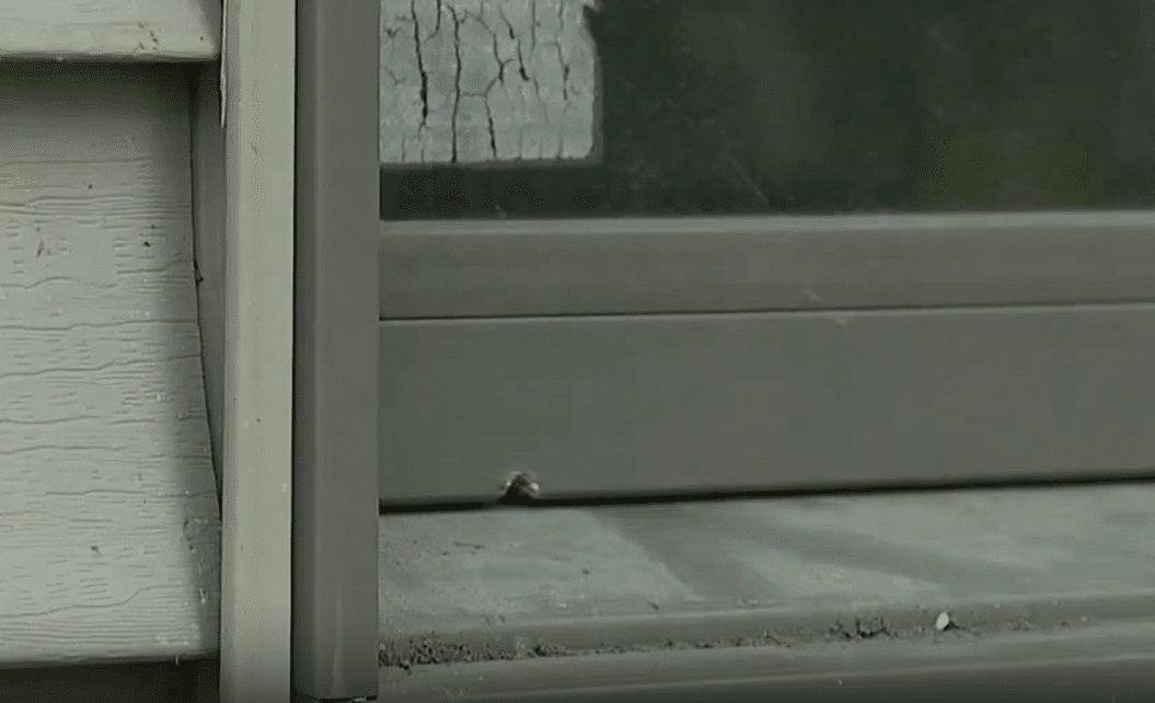 Elderly Man Fends Off Intruder In Ann Arbor Home Invasion Attempt