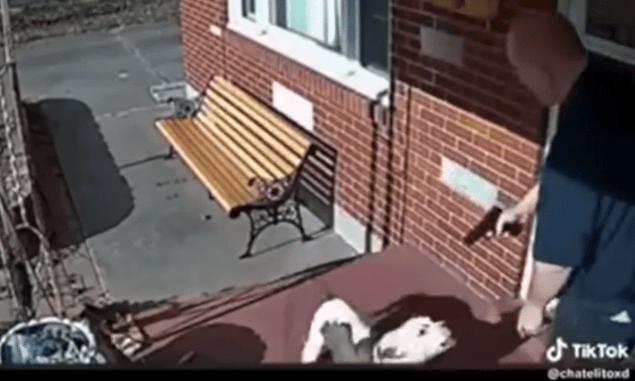 Man With Gun Doesn’t Shoot Dog After Attack, Instead Uses A Different Method To Remove The Threat