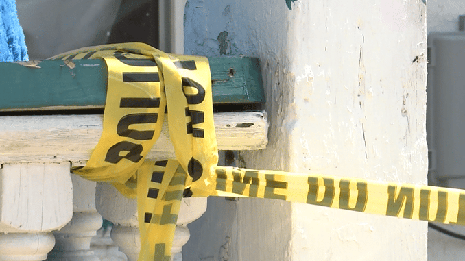 8 And 9-Year-Old Brothers Shot And Killed While Playing With Kittens In Backyard