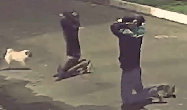 Alert Homeowner Puts Two Invaders On Their Knees In Picture Perfect Self-Defensive Gun Use