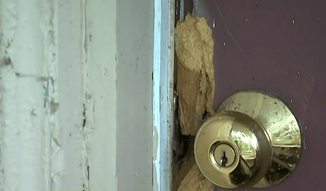 Homeowner Shoots Intruder Who Was Wanted By Local Sheriff