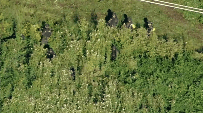 Get Prepared Ahead Of Time: Gun Shops Near Search Perimeter For Escaped Killer See Increase In Gun Sales