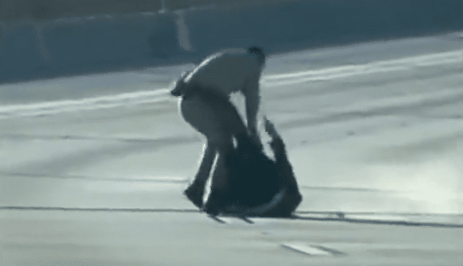 GRAPHIC WARNING: Officer Fatally Shoots Man On Highway After Man Pulls Taser During Struggle