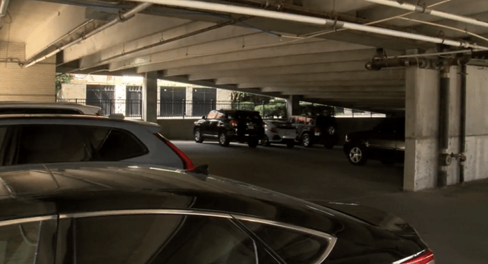 Pregnant Woman Shoots Attacker In The Neck In Parking Garage To Save Family