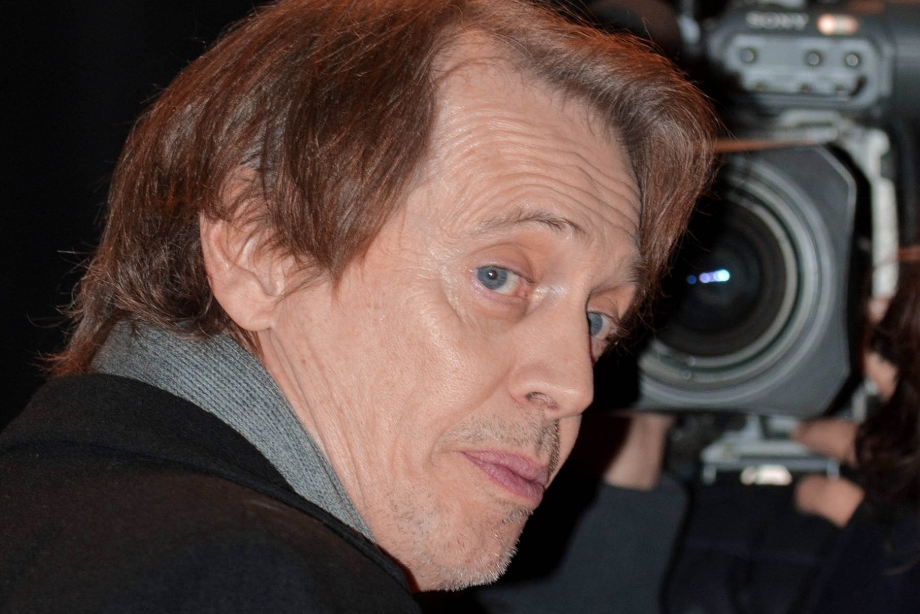 Actor Steve Buscemi Attacked in Broad Daylight in Manhattan