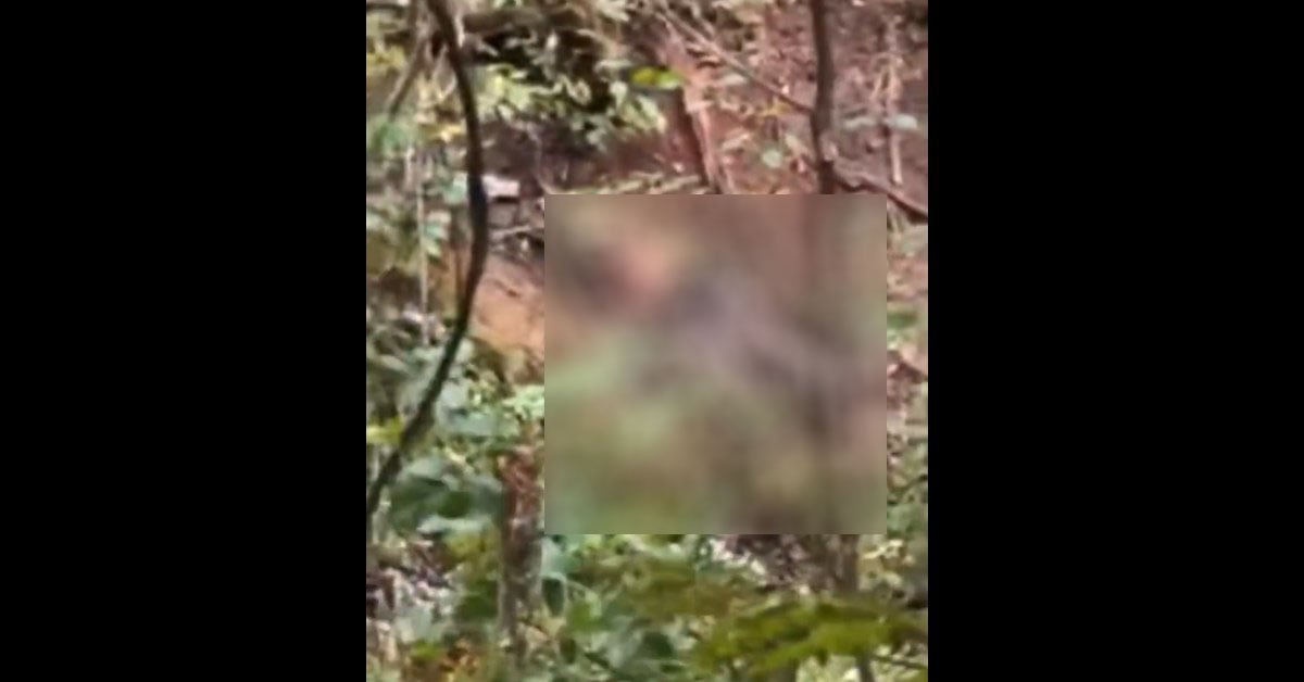 GRAPHIC WARNING: Kentucky Highway Shooter’s Body Found By Couple?