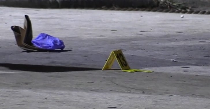 Chicago CCW Food Vendor Fatally Shoots Armed Robber in Self-Defense