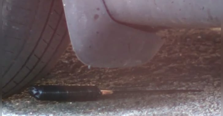 Knife Attack in McDonald’s Parking Lot Stopped by Bystander With Firearm