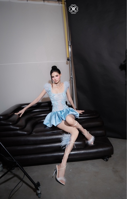 THAOBIBI Lace Cap Sleeve Puff Skirt Dress