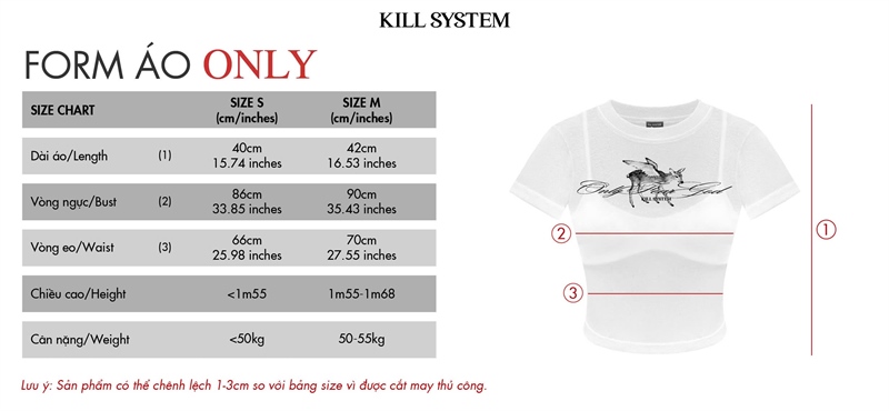 KILLSYSTEM Sexy Sheer Cropped T-Shirt Set with Bra