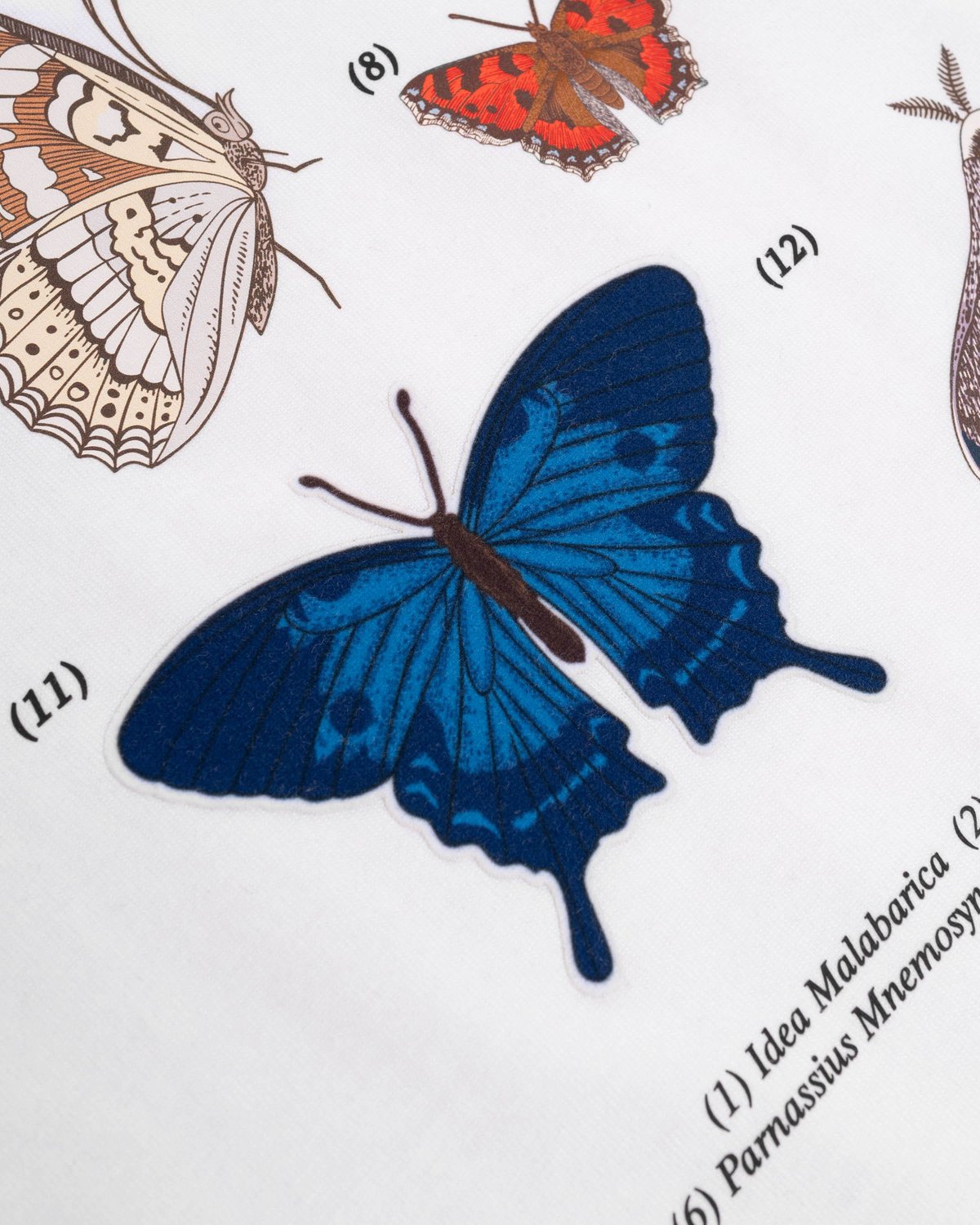 Levents® Butterfly Catalog Semi-Oversized Tee - White