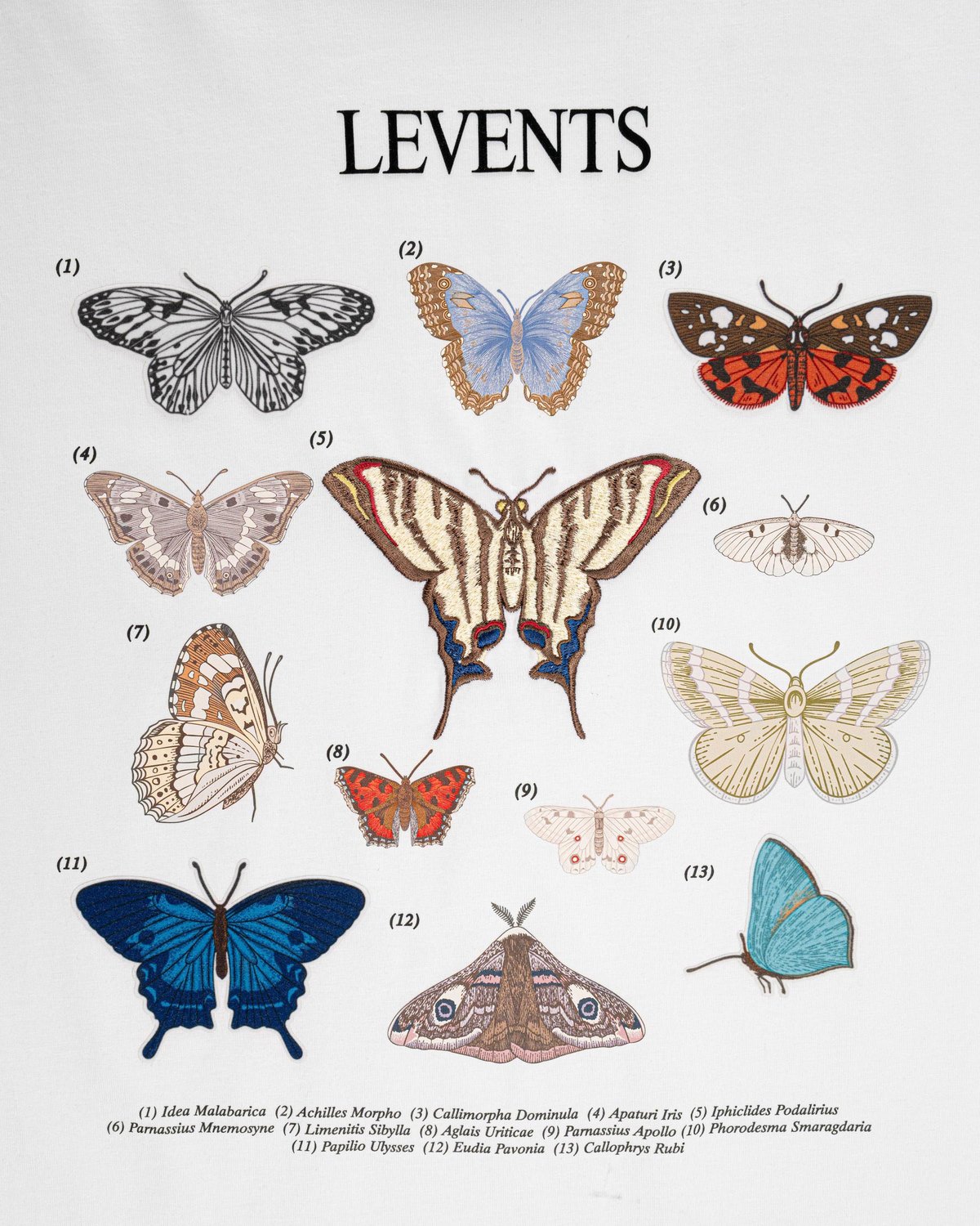 Levents® Butterfly Catalog Semi-Oversized Tee - White