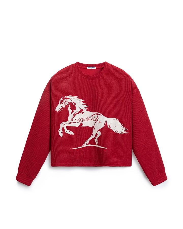 DIRTYCOINS Horse Power Knit Sweater - Red