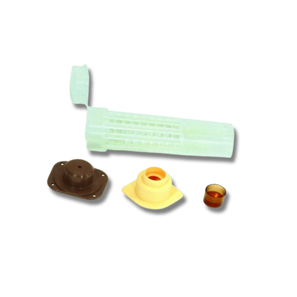 SET FOR BREEDING 10 BEE QUEENS FOR THE NICOT SYSTEM
