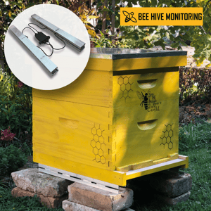 Bee hive monitoring - Image 4