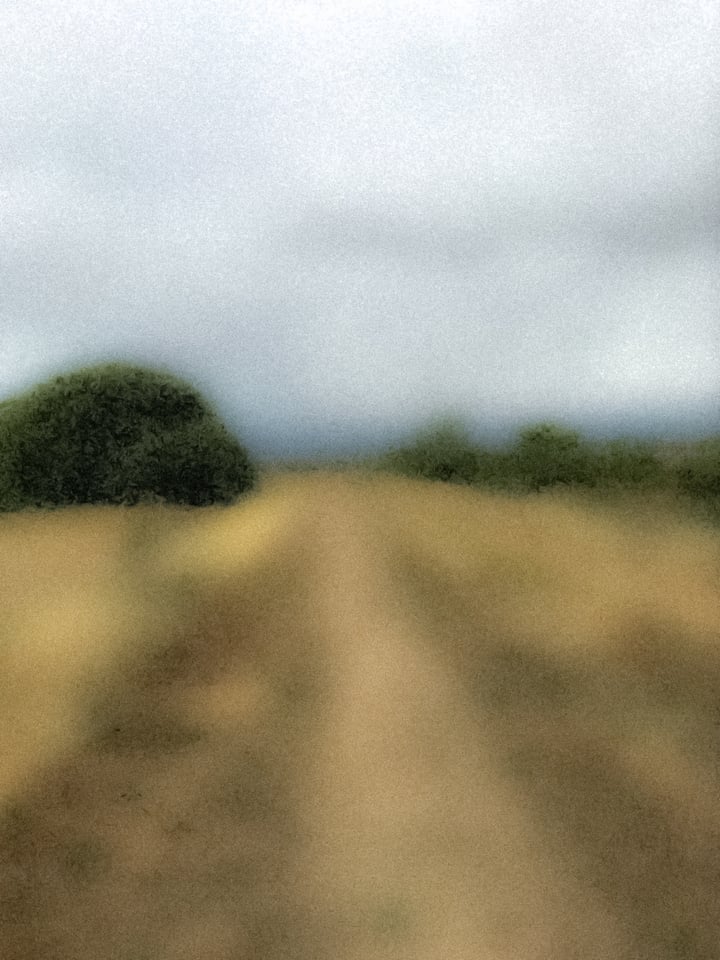 Landscape View 