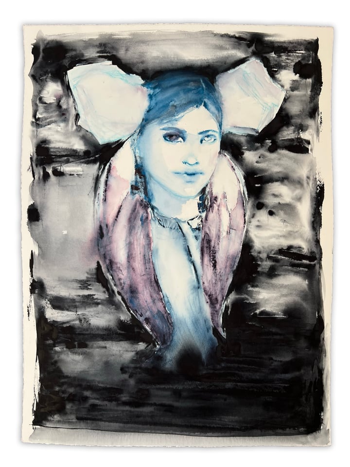 Moonflower 