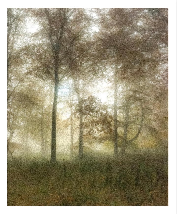 Original photography Landscape, Brown — "Ethereal Autumn" · 53.8 × 65 cm by Tracy Goldfinch Elson