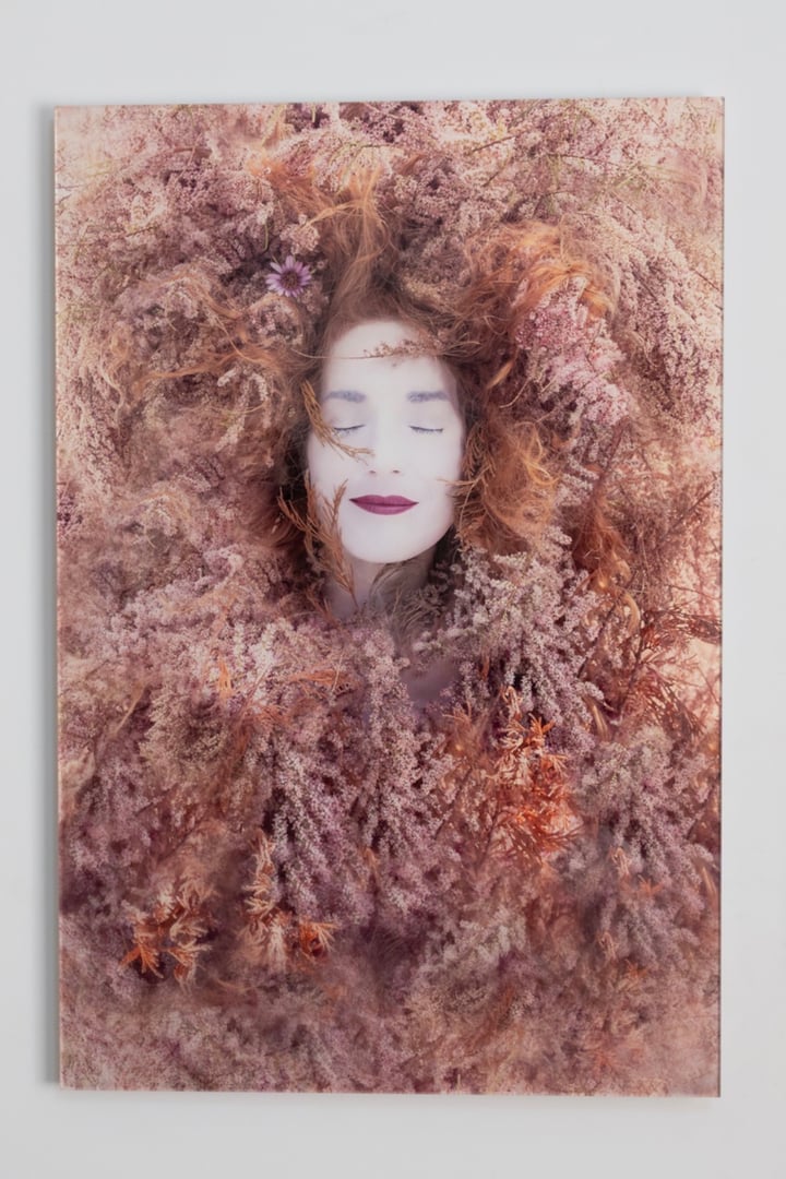 Original fine art photograph, printed on acrylic Fine Art — "The Awakening, 23x36inches" · 61.0 × 91.4 cm by Louisa Peacock